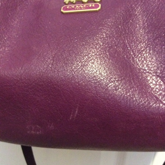 COPY - Coach - Picture 5 of 7